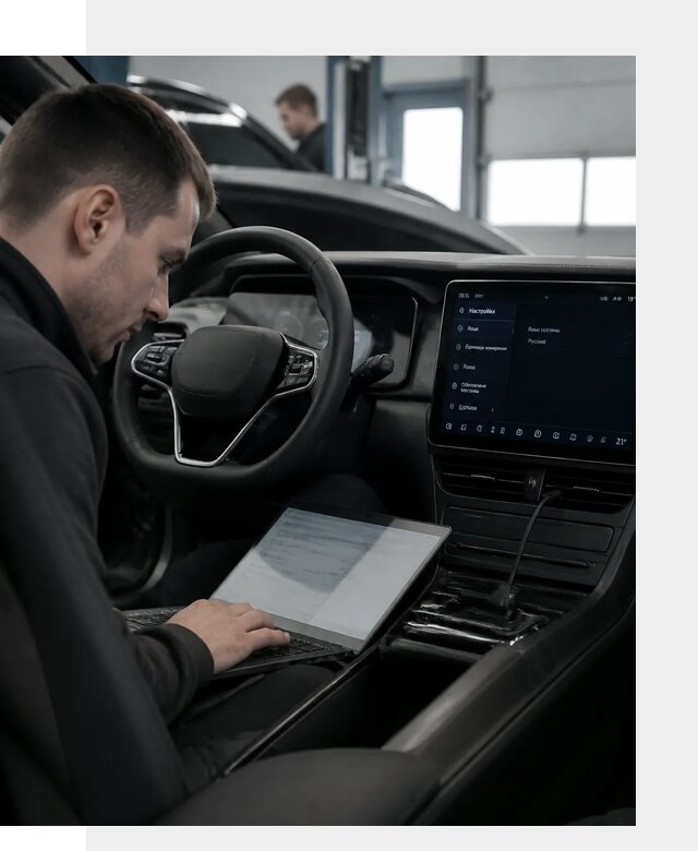 Русификация автомобилей BYD под ключ для всех моделей в Архангельске