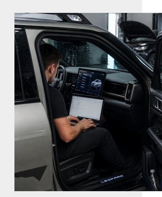 Русификация BYD Leopard 3 в Архангельске по цене от 20459 р. | ФастМобиль-Рхн